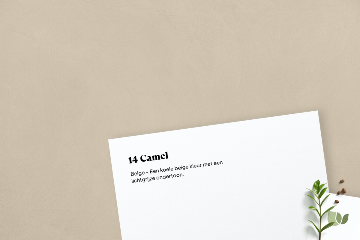 Beton Ciré 14 Camel