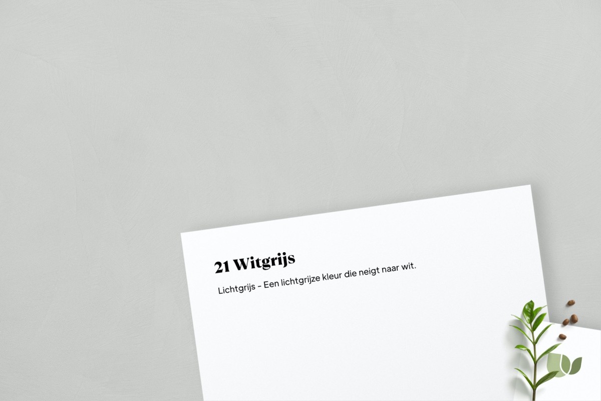 Beton Ciré 21 Witgijs