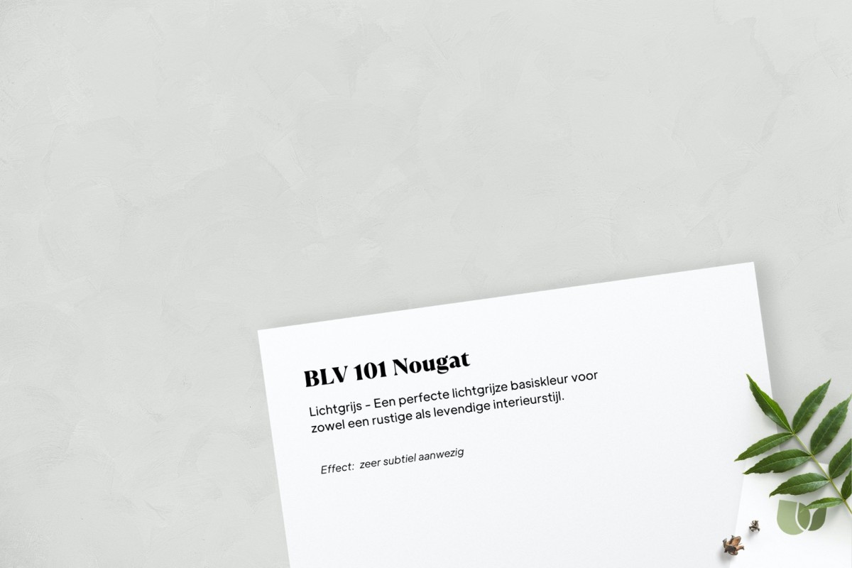 Betonlook verf BLV 101 Nougat