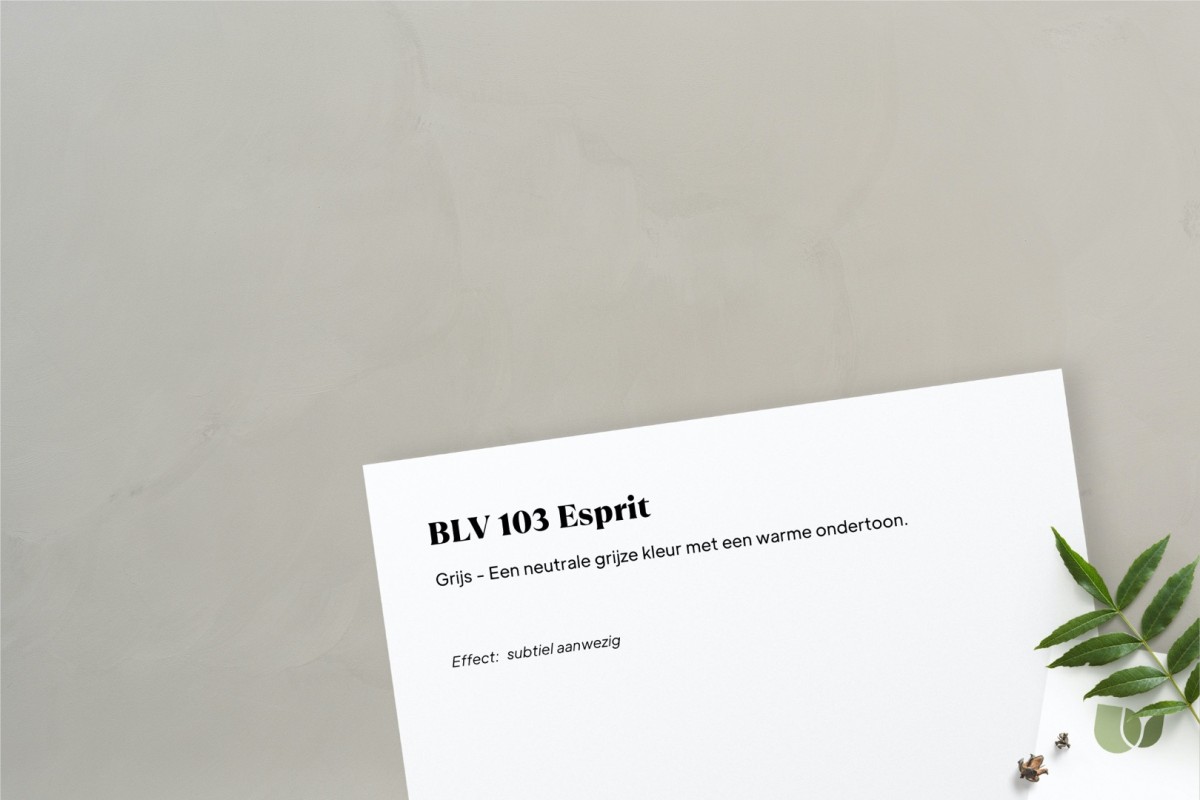 Betonlook verf BLV 103 Esprit