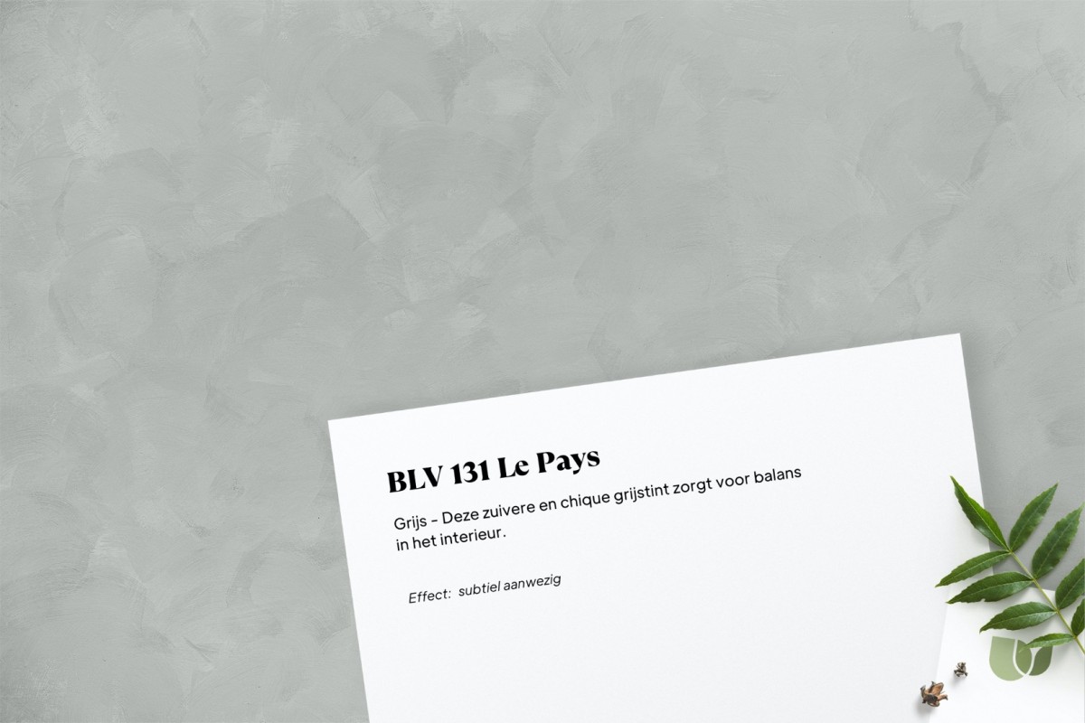 Betonlook verf BLV 131 Le Pays