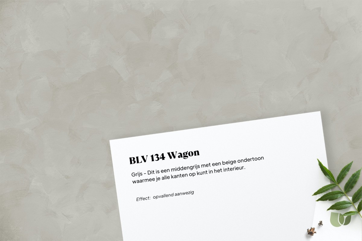 Betonlook verf BLV 134 Wagon