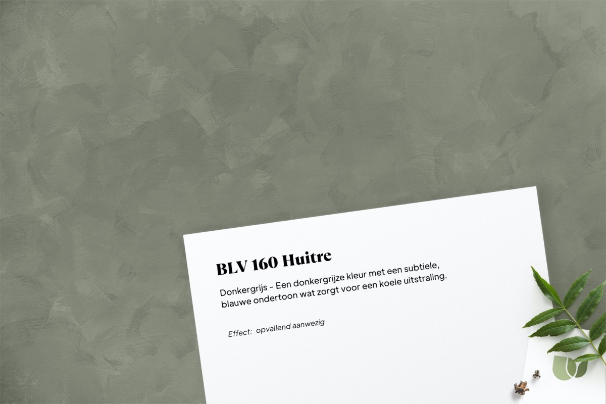 Betonlook verf  BLV 160 Huitre