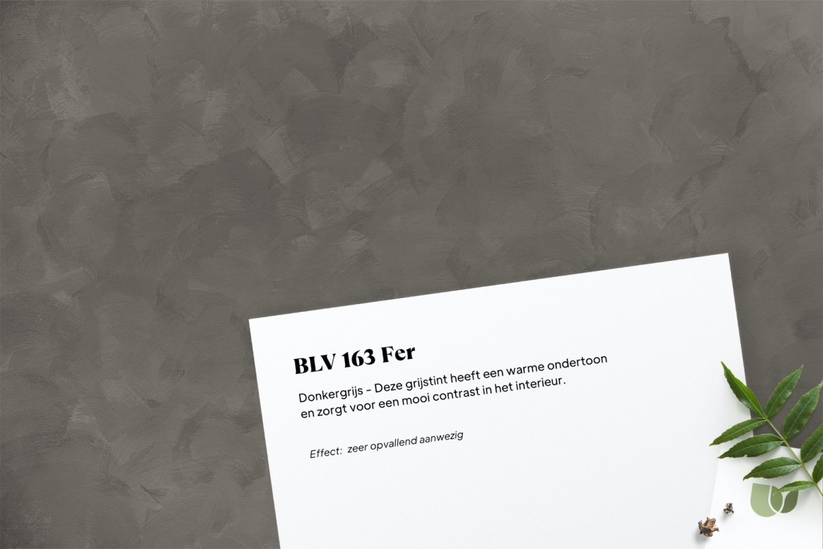 Betonlook verf BLV 163 Fer