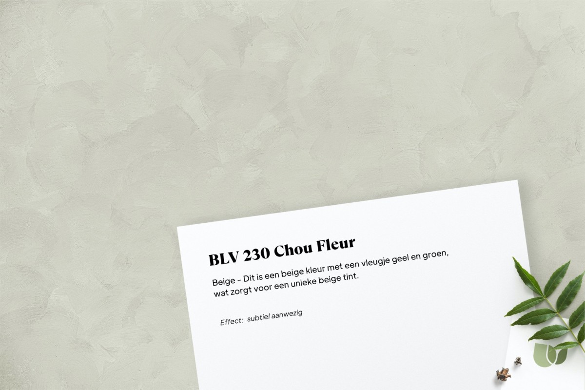 Betonlook verf BLV 230 Chou Fleur
