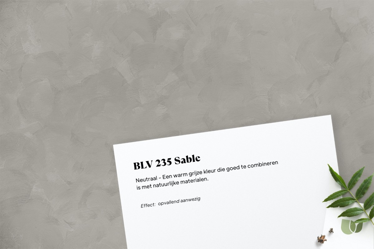 Betonlook verf BLV 235 Sable