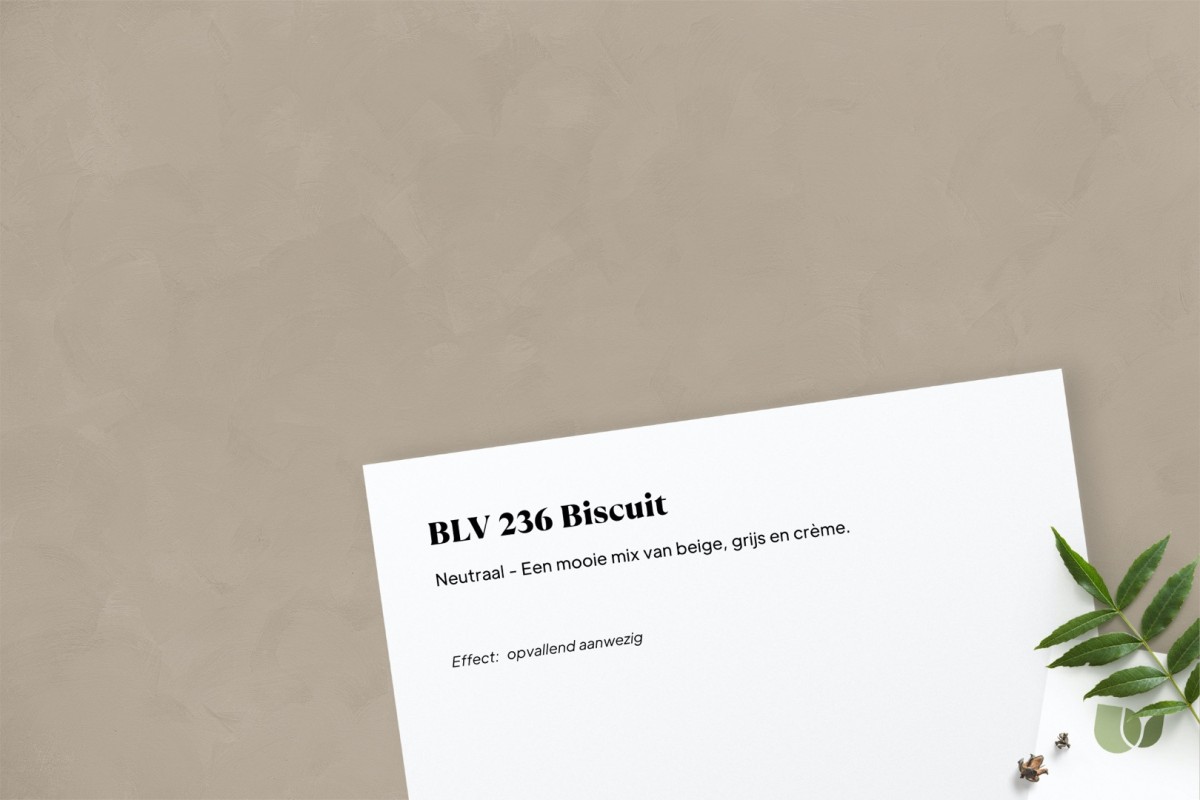 Betonlook verf BLV 236 Biscuit