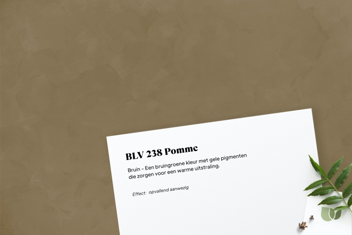 Betonlook verf BLV 238 Pomme