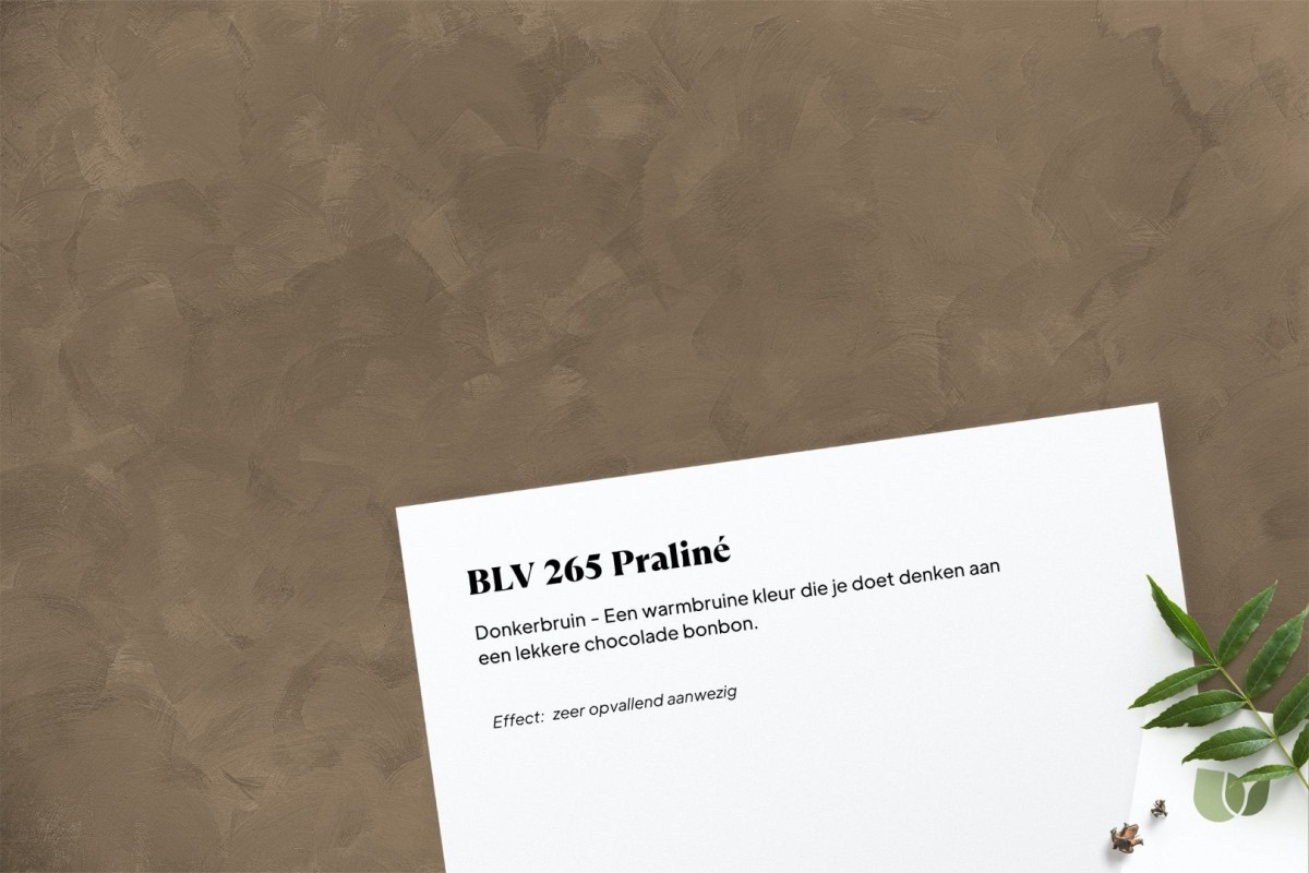 Betonlook verf BLV 265 Praliné