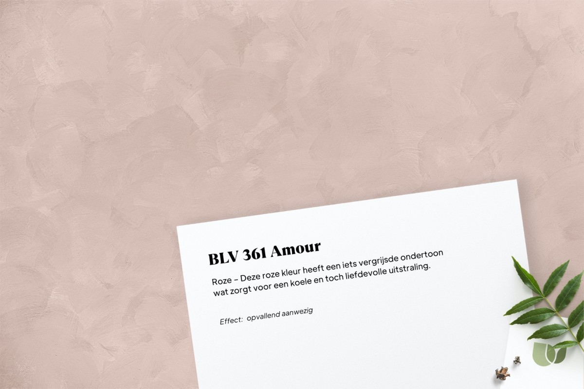 Betonlook verf BLV 361 Amour