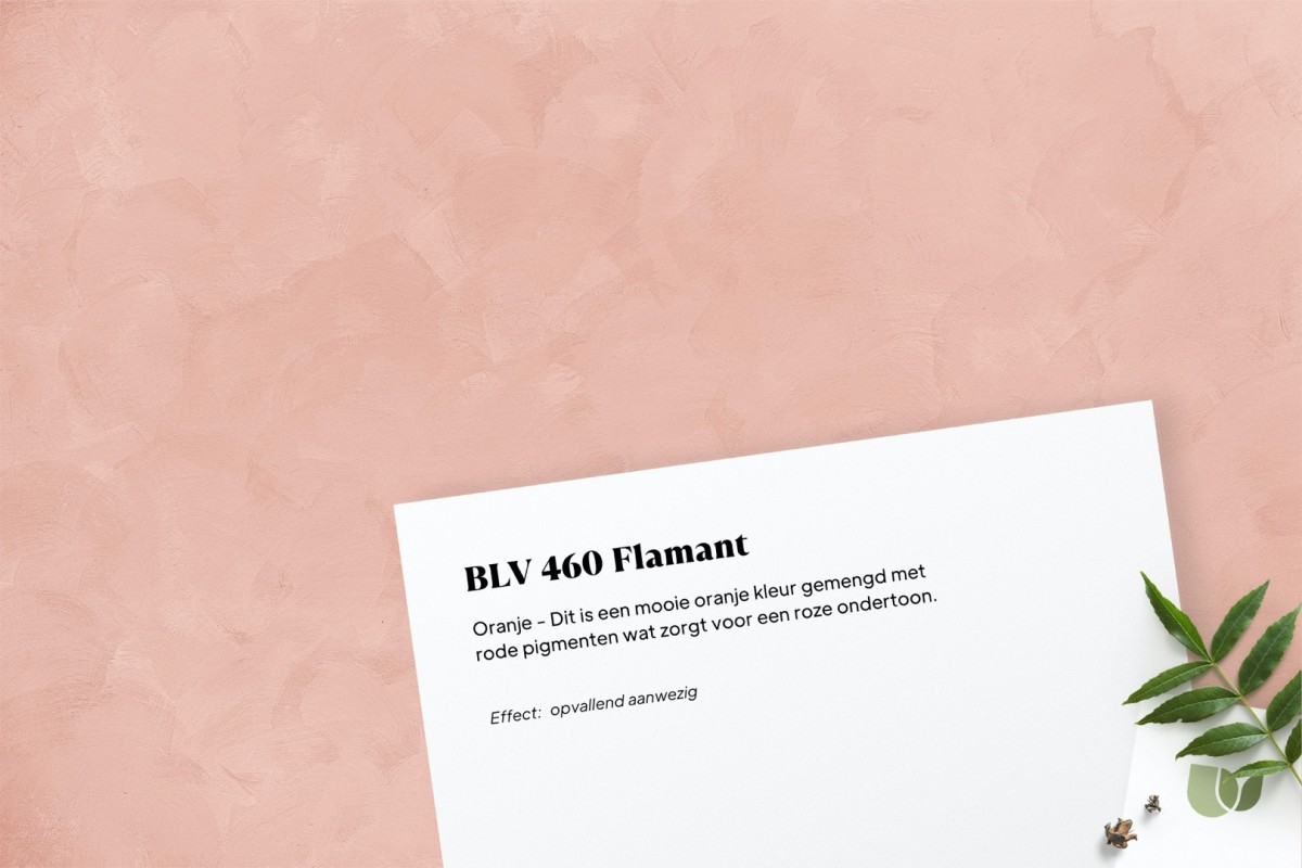 Betonlook verf BLV 460 Flamant