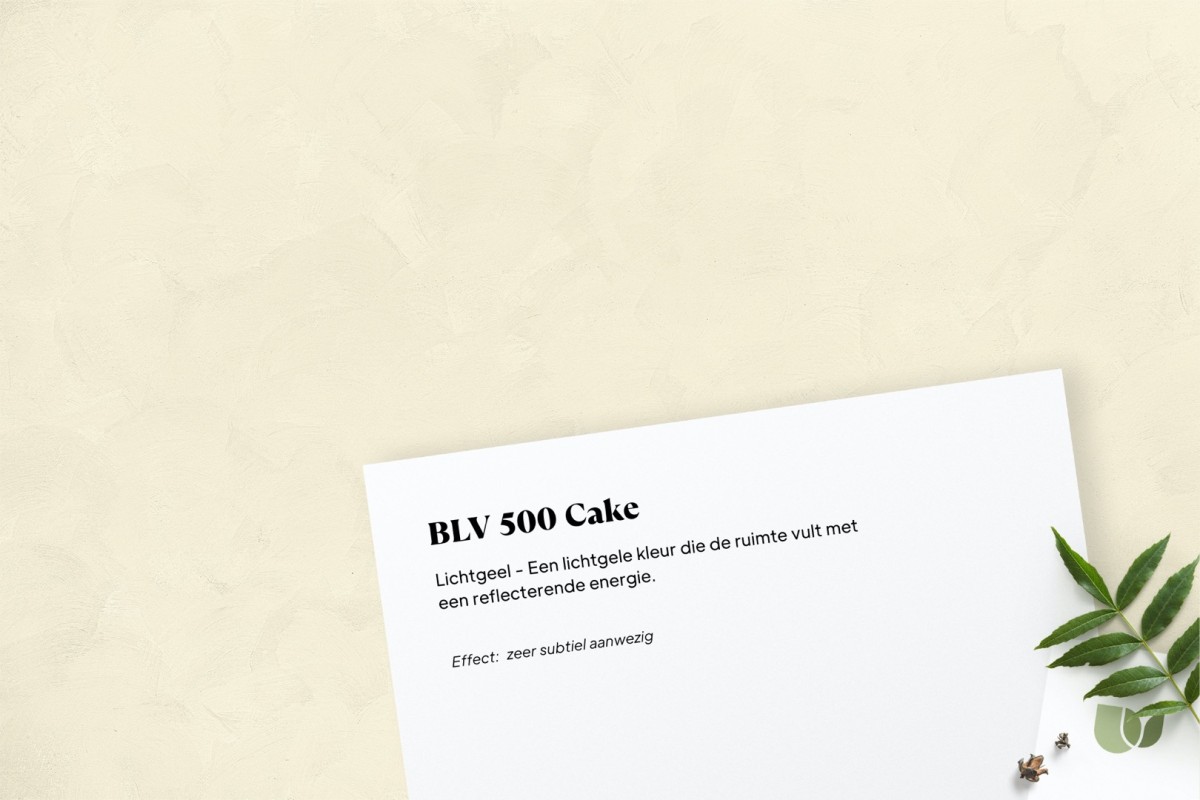 Betonlook verf BLV 500 Cake