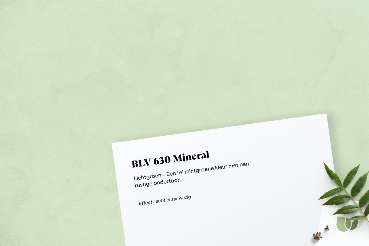 Betonlook verf BLV 630 Mineral