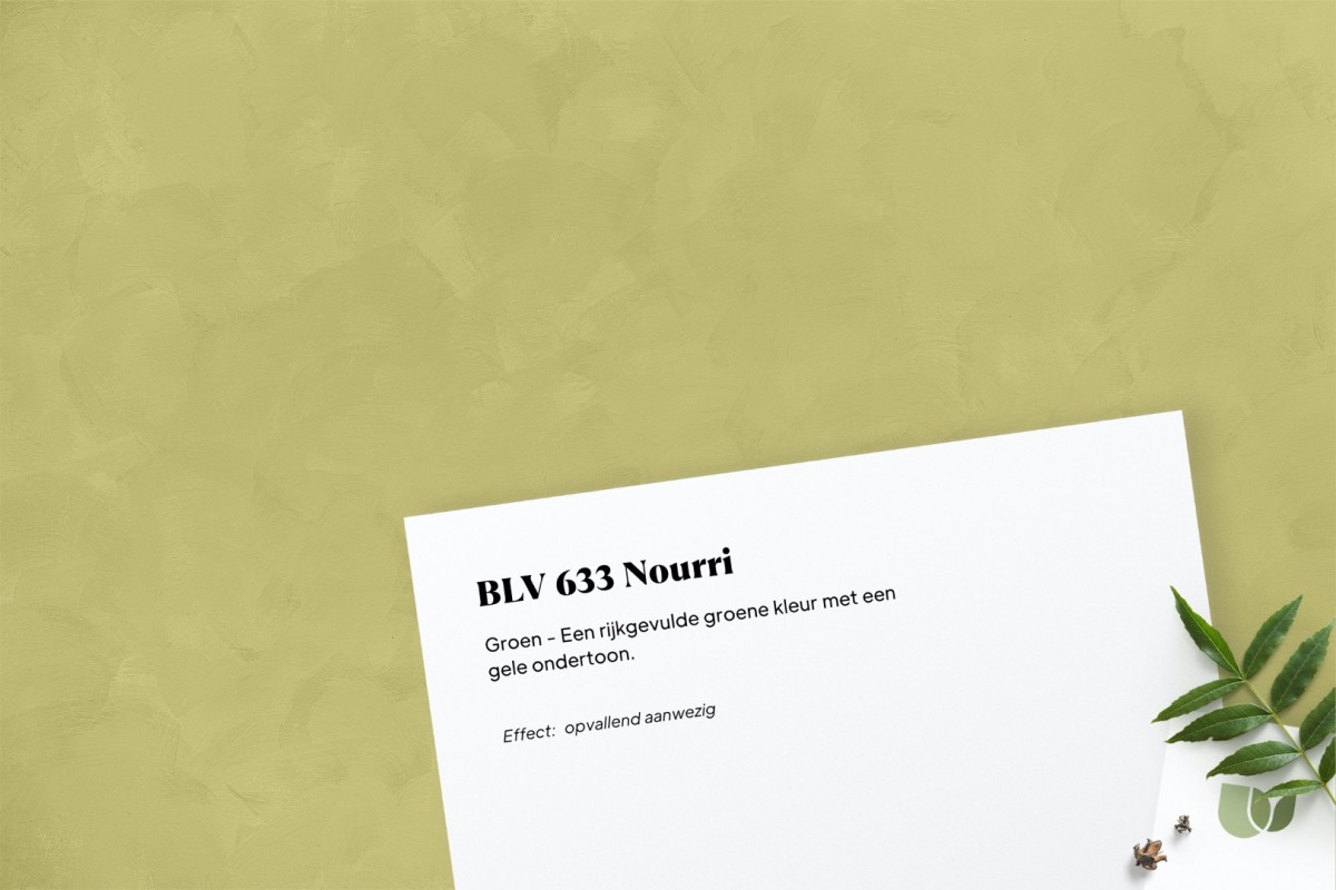 Betonlook verf BLV 633 Nourri