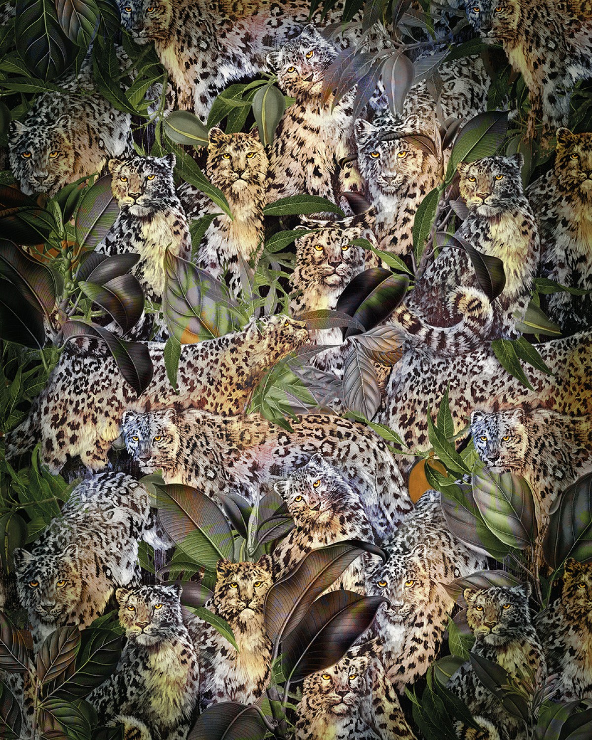 Komar Home Imagine Edition 4 Wild Cats X4-1046