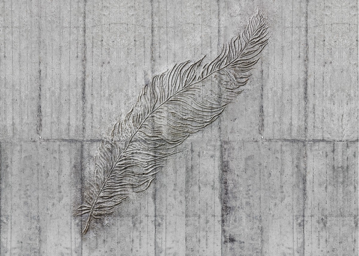 Komar Home Imagine Edition 4 Concrete Feather X7-1023